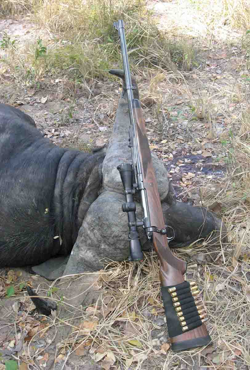 This Cape buffalo was taken with a single 500-grain bullet from a .458 Lott, which would not have been considered a big-bore cartridge in 1880.